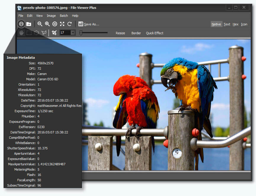 best image viewing software for mac